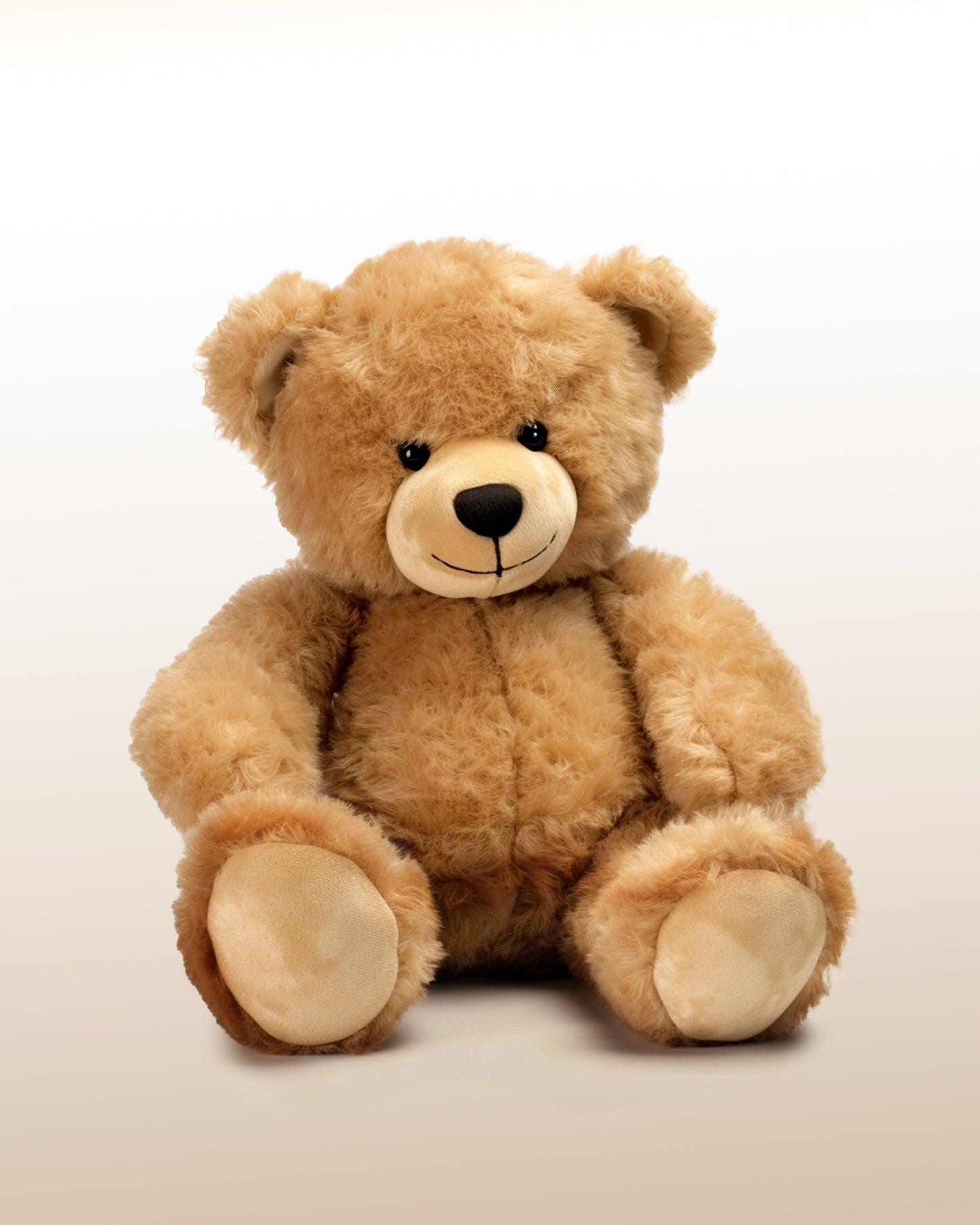 Orsetto di Peluche