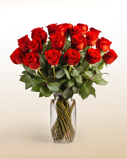 two dozen, long stem,  red roses